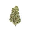 Trimmed Amnesia Haze Strain nug showcasing its frosty resin and compact structure.