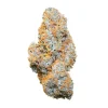 Apple Fritter Auto Strain bud covered in orange pistils and sugar-like trichomes, showcasing its potency.