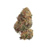 Bubblegum XL Strain plant displaying lush buds with bright orange pistils, known for its calming and soothing effects