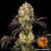 Glookies strain showing vibrant green buds covered in thick trichomes and bright orange pistils.
