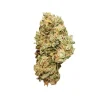 Close-up of a Royal Cheese Auto Strain bud showcasing its compact structure.