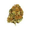 Close-up of Royal Moby Strain bud displaying orange pistils and a resinous coating.