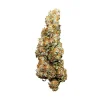 Close-up of the Wedding Cake Auto strain showing its compact, resinous structure.