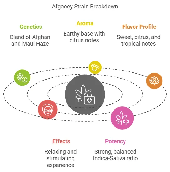 Infographic of Afgooey strain breakdown, detailing genetics, aroma, flavor profile, effects, and potency with icons for visual representation.