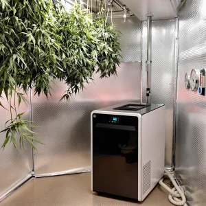 Dehumidifier for Drying Cannabis: Perfect Your Harvest