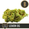 Close-up of Nikki & Swami's Lemon OG bud, showcasing its trichome-rich texture and citrus hues.