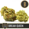 Steve's Dream Queen buds with frosty trichomes and rich green color.