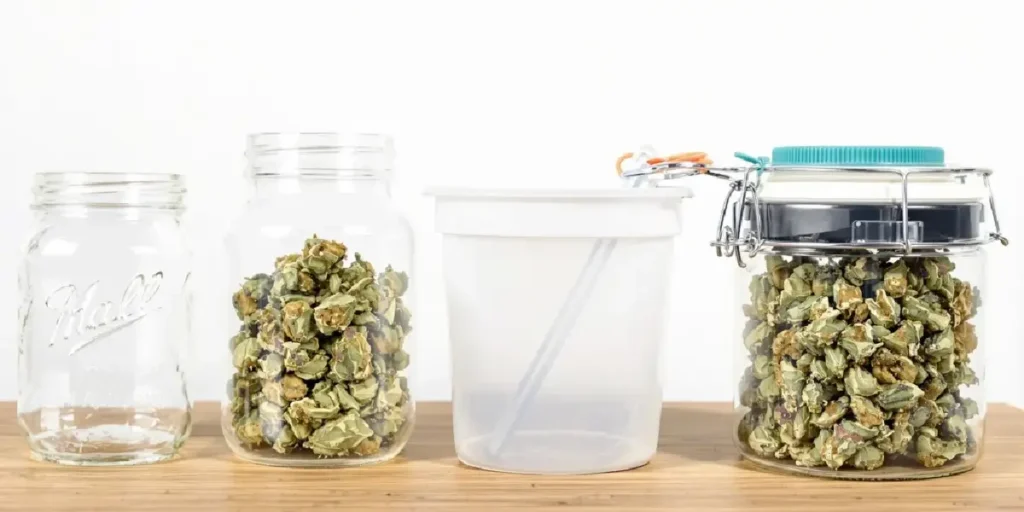 Best containers for curing weed: glass jars vs plastic options