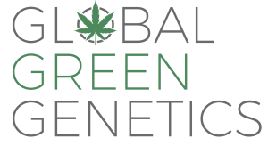 Global Green Genetics