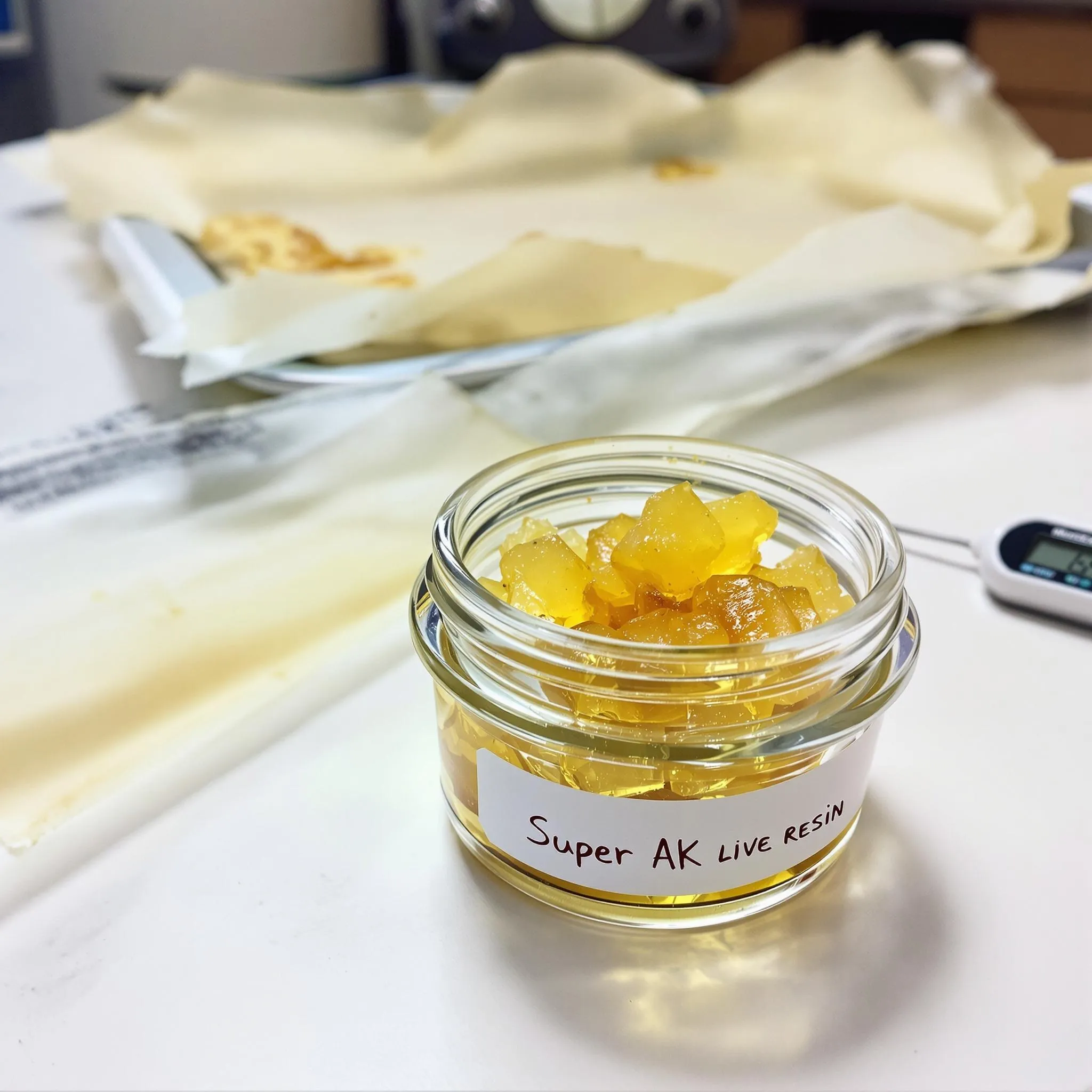 Golden live resin concentrate on a kitchen countertop with a baking sheet and thermometer nearby, ready for decarbing.