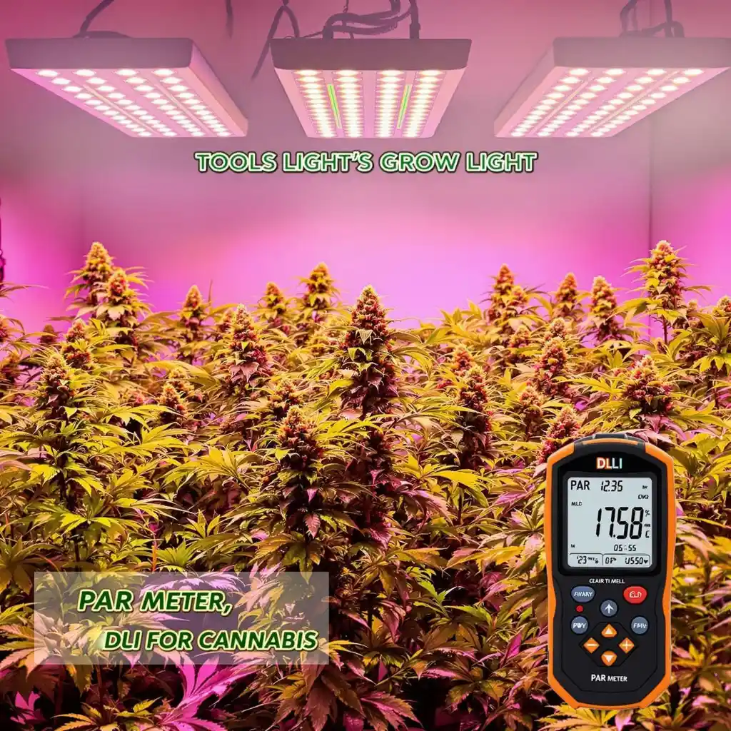 Indoor cannabis grow room with LED lights and a PAR meter measuring light intensity to optimize DLI for cannabis plants.