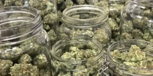 Curing Jar for Weed: Elevate Your Cannabis Quality