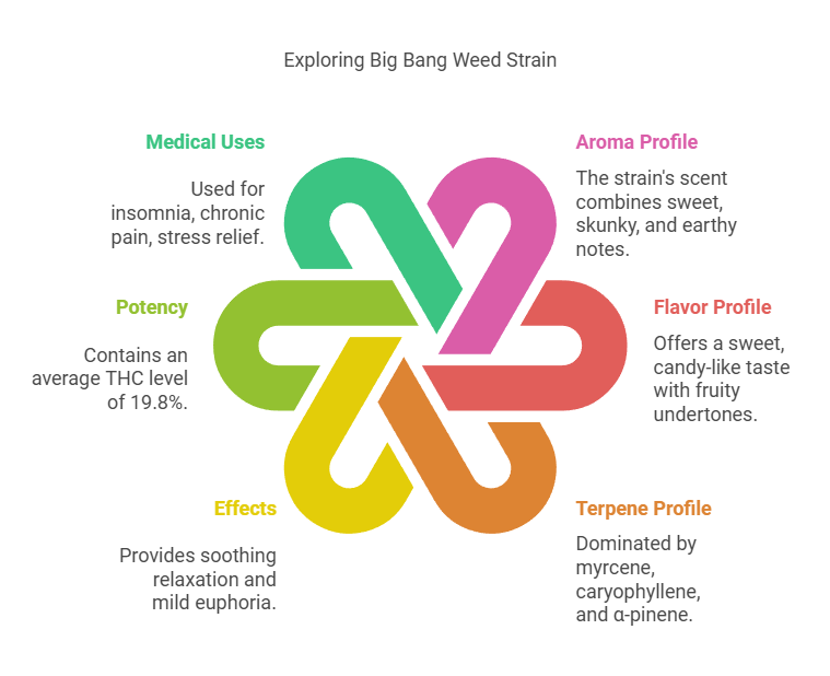 Infographic exploring Big Bang weed strain with details on medical uses, potency, effects, aroma, flavor, and terpene profile