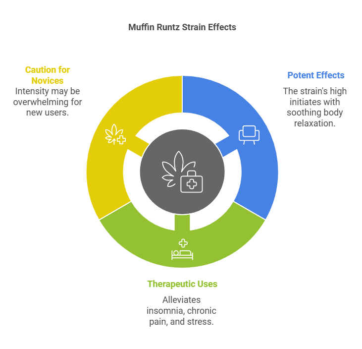 Infographic outlining Muffin Runtz strain effects, including potency, therapeutic uses, and caution for novice users