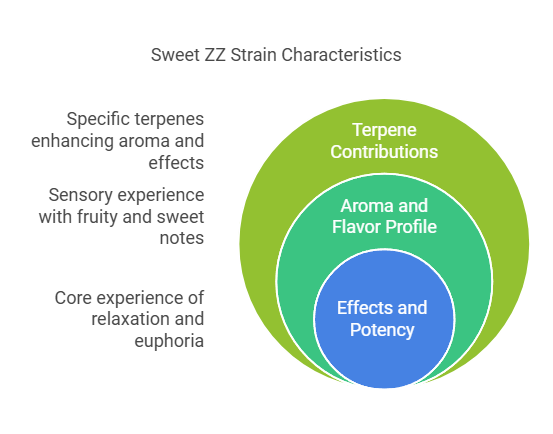 Infographic illustrating Sweet ZZ strain characteristics, including terpene contributions, aroma, flavor, effects, and potency