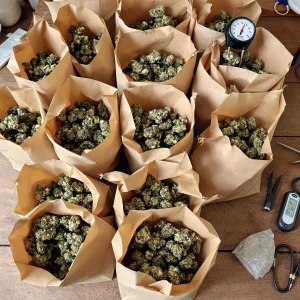 How to Cure Cannabis Using a Paper Bag