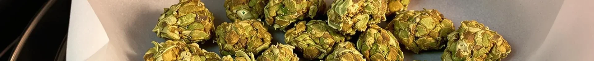 Cannabis buds on a plate inside a microwave prepared for quick drying.