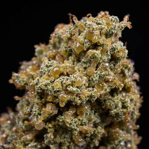 Rare Strains of Cannabis: Exploring Unique and Hard-to-Find Varieties
