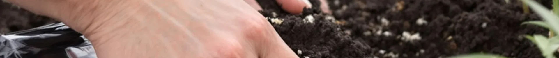 Gardener mixing Roots Organic Dry Amendments into soil with cannabis seedlings in the background.