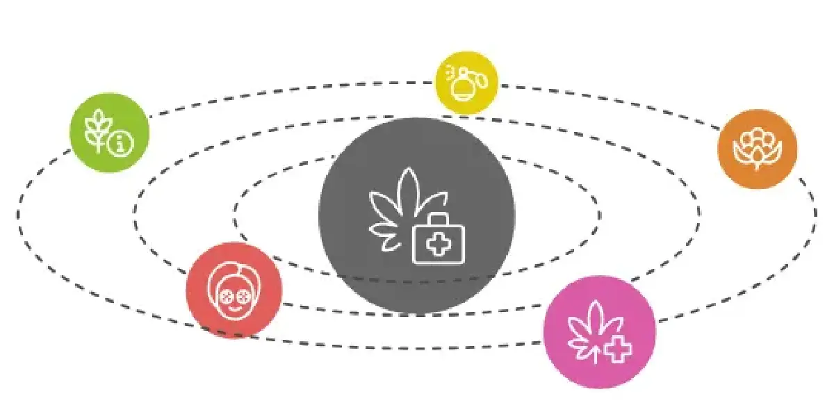 Afgooey cannabis bud with dense trichomes and indica structure