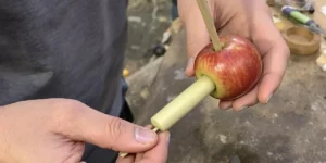 How to Smoke With No Pipe: Creative and Easy Solutions