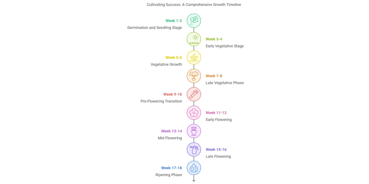 Arjan's Haze 3 strain bud with visible trichomes and white pistils
