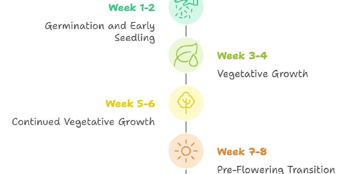 Banana Krumble strain growth stages timeline