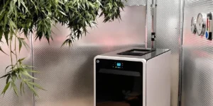 Dehumidifier for Drying Cannabis: Perfect Your Harvest