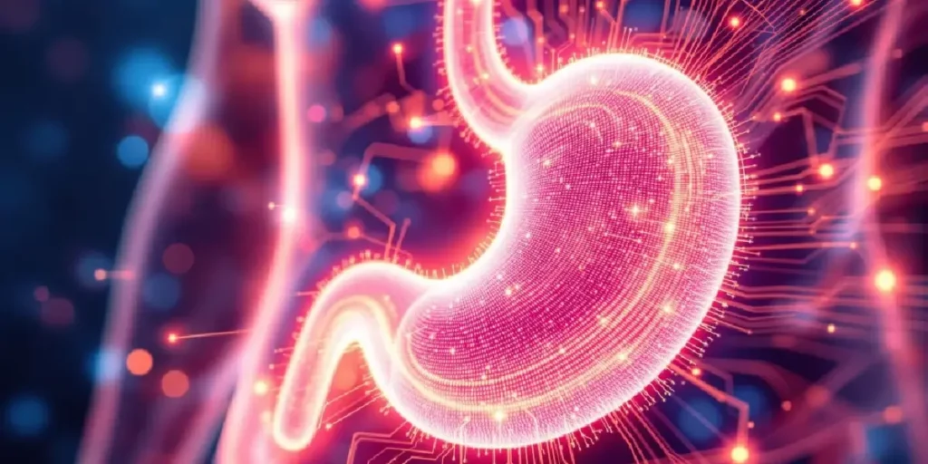 CBD effects on stomach inflammation and digestive health