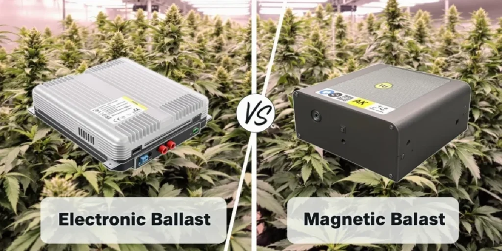 hid grow light system with electronic ballast in cannabis indoor grow