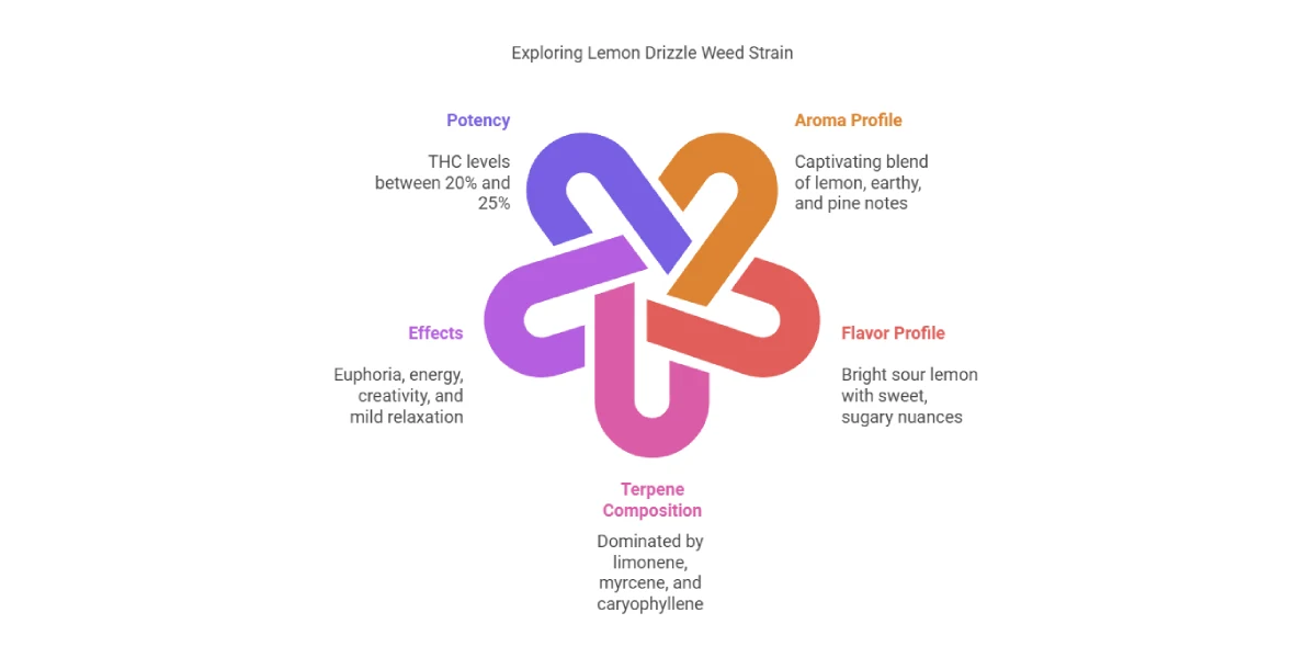 lemon drizzle weed strain infographic showing potency aroma flavor effects and terpenes
