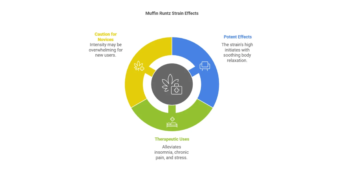 Muffin Runtz strain effects infographic potency therapeutic uses and beginner caution
