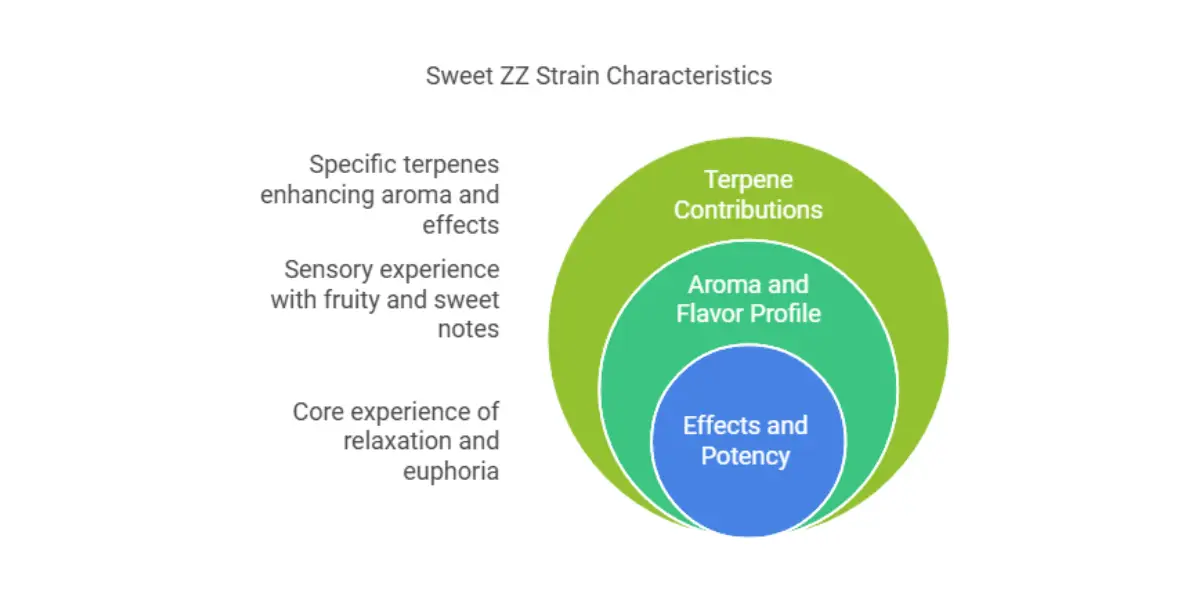 Sweet ZZ strain characteristics diagram showing terpenes aroma and effects