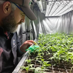 Best Dehumidifier for Grow Room