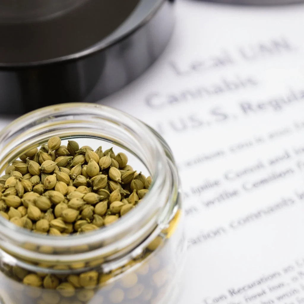 Cannabis Seeds Legal in the USA: Everything You Need to Know