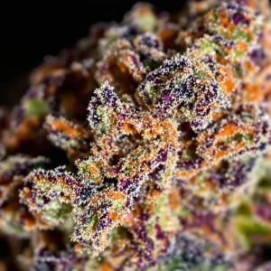 Exotic Weed Explained: Top Strains, Growing Tips, and Where to Buy