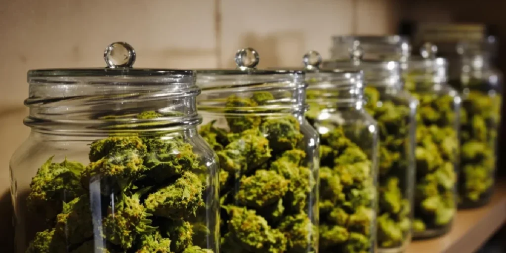 What Container Is Best for Weed? Expert Weed Storage Tips