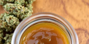 What Is Terp Sauce? Exploring Quality Cannabis