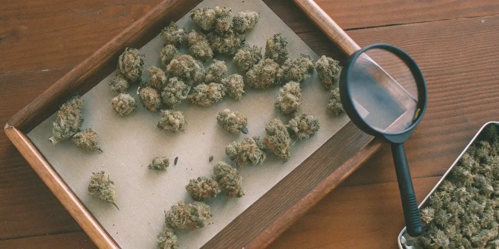 Banger Rigs: A Thorough Look at Dabbing Essentials