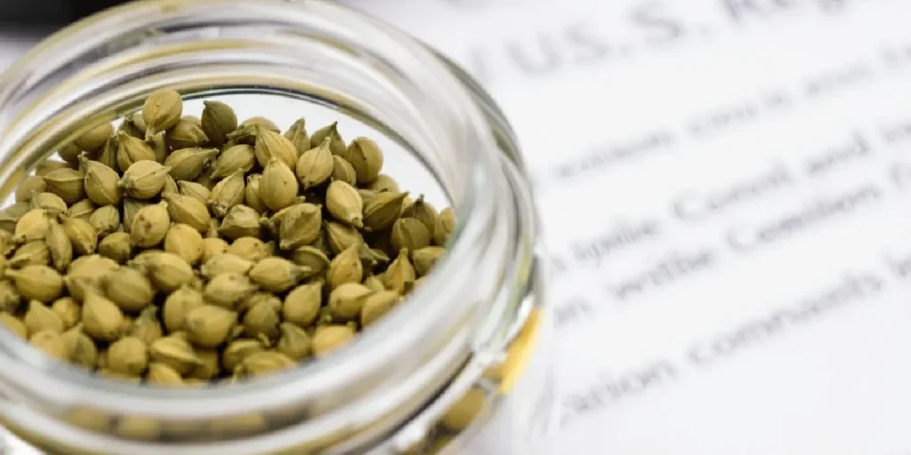 Cannabis Seeds Legal in the USA: Everything You Need to Know