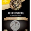 Growers Choice Bruce Banner 3 Autoflower Seeds