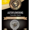 Jamaican Dream autoflower cannabis seeds