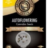 Northern Lights Autoflower Growers Choice Cannabis seeds