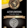 Sour Kush Autoflowering Growers Choice Cannabis seeds
