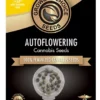 White Widow Autoflower cannabis seeds