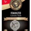 Blue Dream Fem Growers Choice Cannabis Seeds