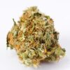 Alaska Thunderfuck Autoflower Growers Choice Bud