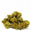 Blue Dream Fem Growers Choice Cannabis buds