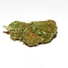Bruce Banner Fem Growers Choice Cannabis Bud