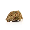 Corleone Kush Autoflowering Growers Choice Cannabis bud